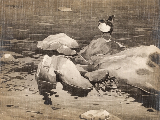 wizerunek obiektu