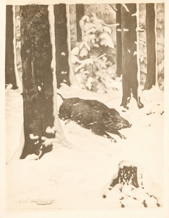 wizerunek obiektu