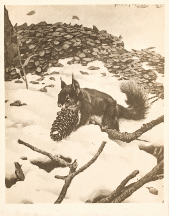 wizerunek obiektu